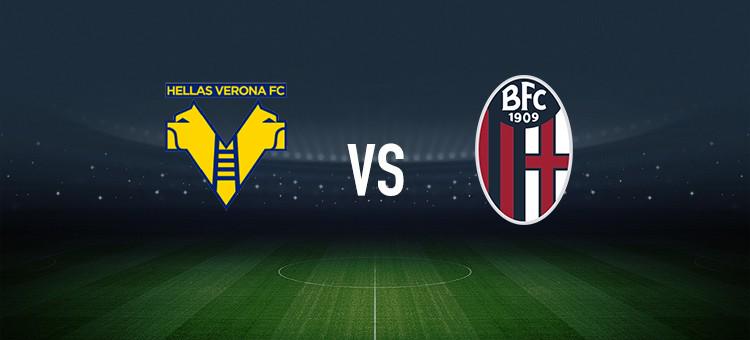 卡塔尔引入 卡塔尔引入