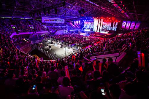 们提供了明 们提供了明